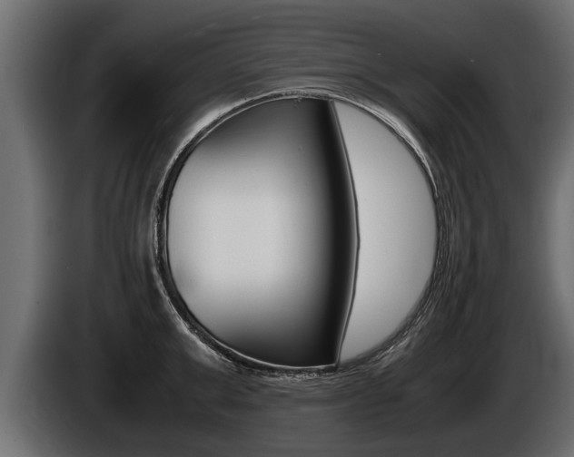 X0000086760999200704130810