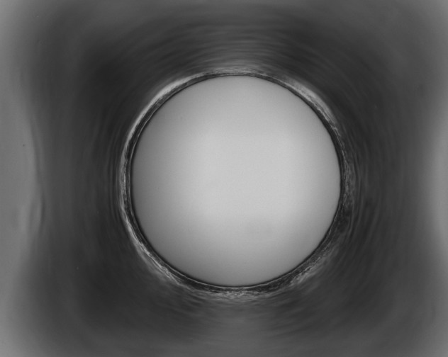 X0000086761000200704130810