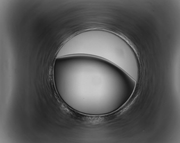 X0000086761001200704130810