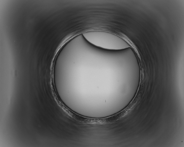 X0000086761002200704130810