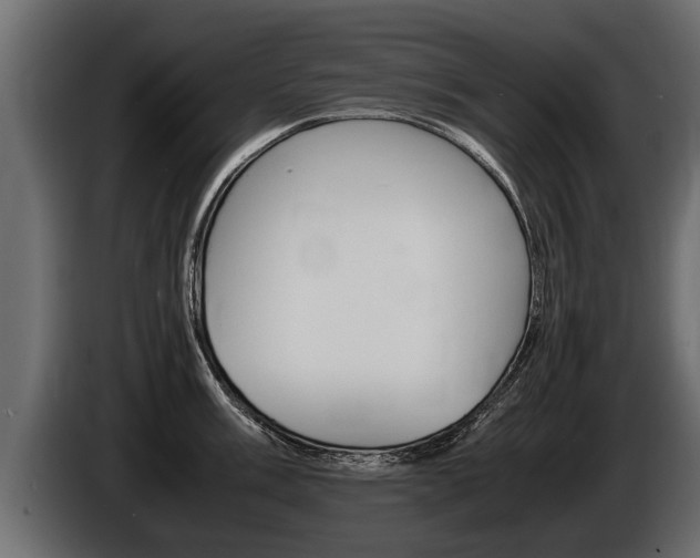 X0000086761003200704130810