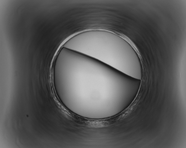 X0000086761004200704130810