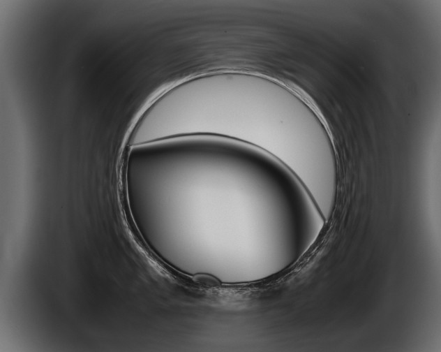 X0000086761005200704130810