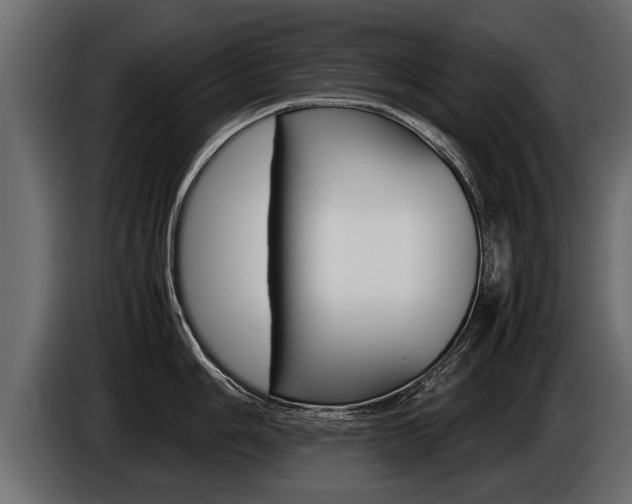 X0000086761006200704130810