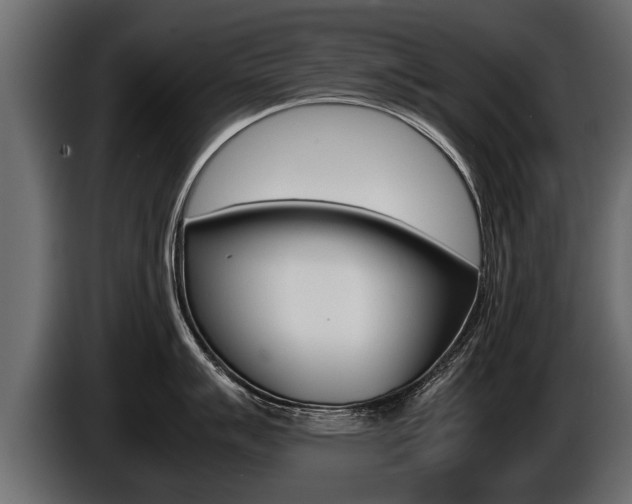 X0000086761007200704130810