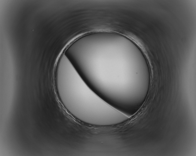 X0000086761008200704130810