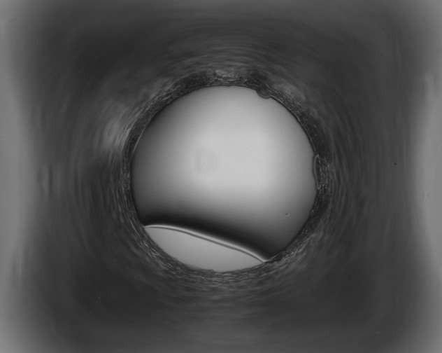 X0000086761009200704130809