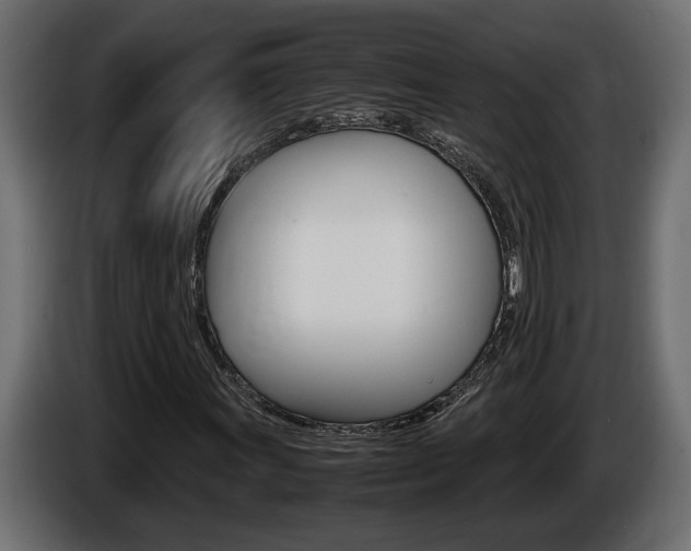 X0000086761011200704130809