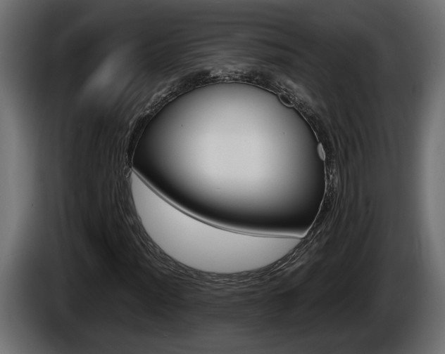 X0000086761012200704130810