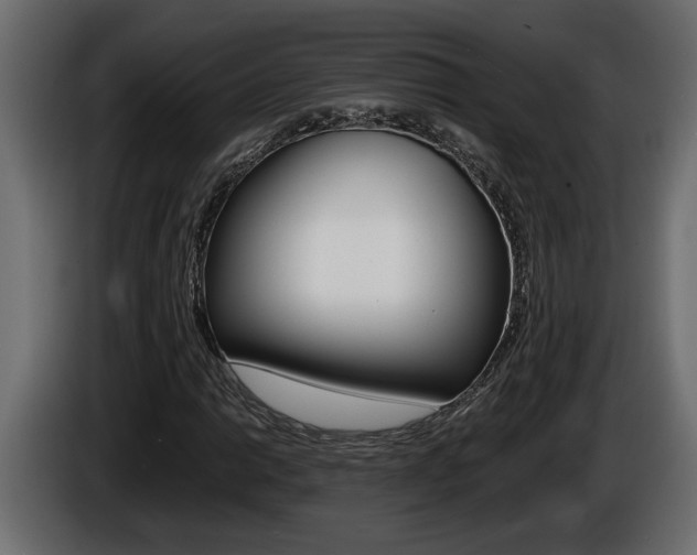 X0000086761014200704130810
