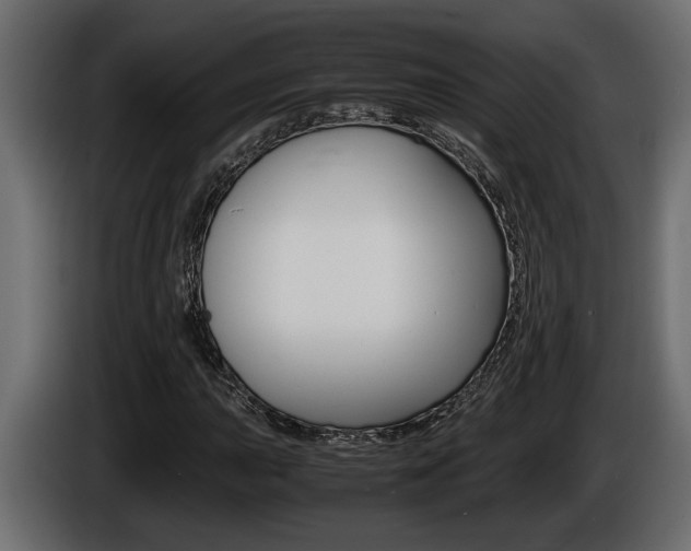X0000086761015200704130810