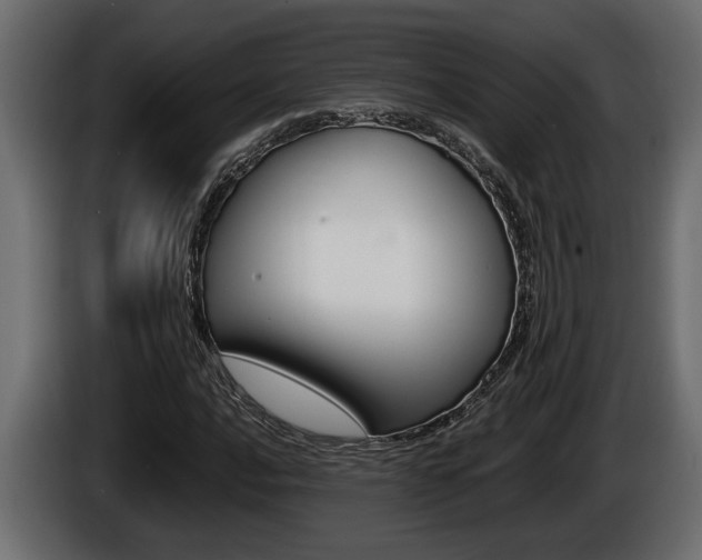X0000086761016200704130810