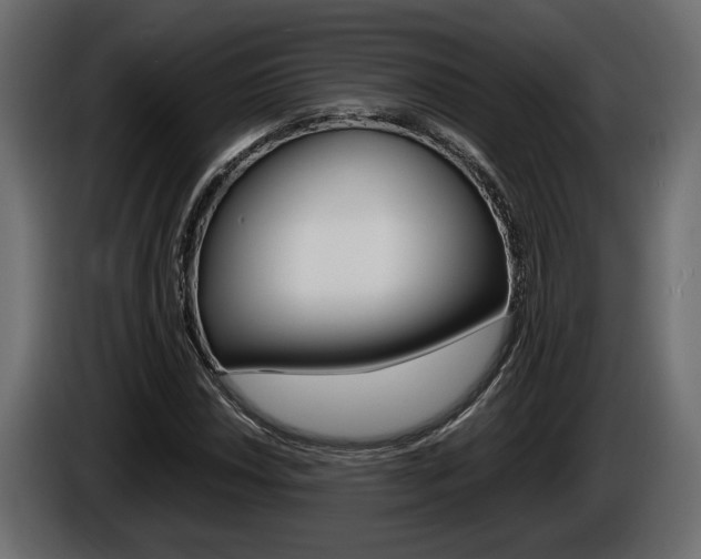 X0000086761018200704130810