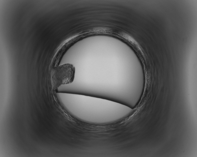 X0000086761019200704130810