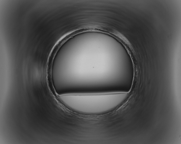 X0000086761020200704130810