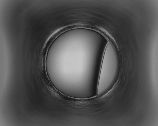 X0000086761021200704130810