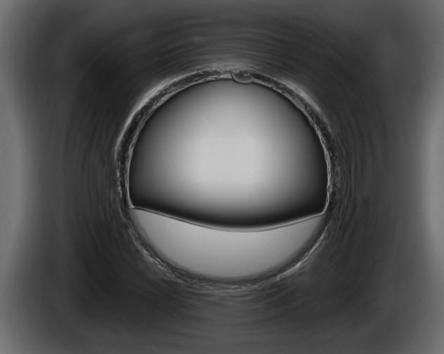 X0000086761022200704130810
