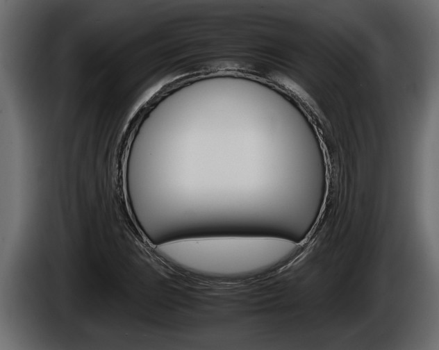 X0000086761023200704130810