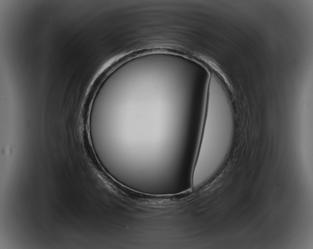 X0000086761024200704130810