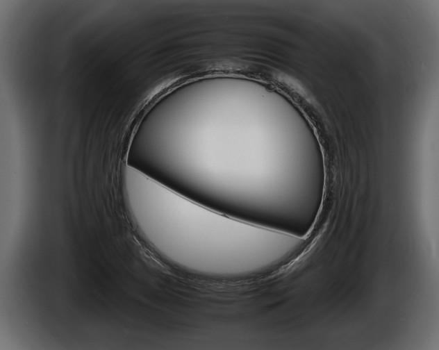X0000086761025200704130810