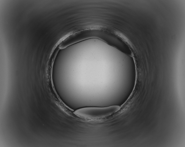 X0000086761026200704130810