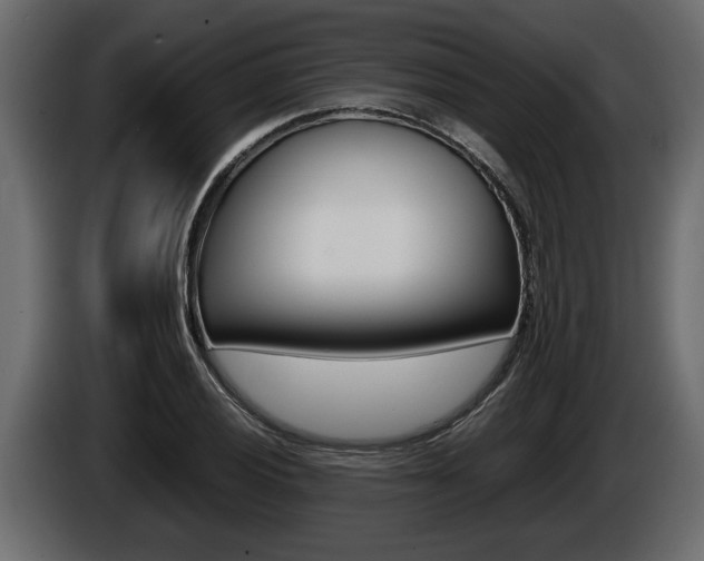X0000086761028200704130810