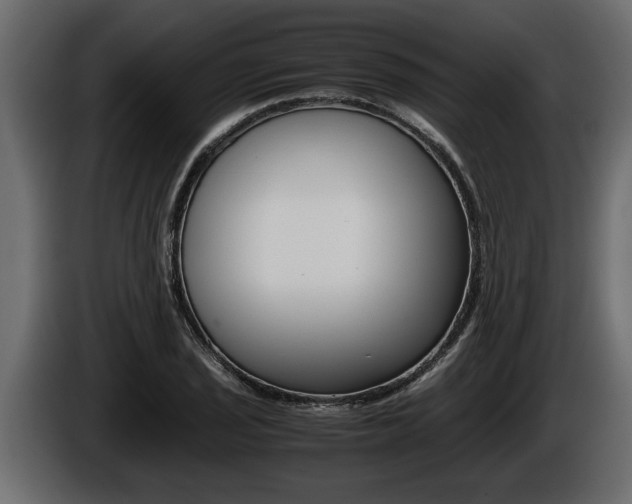 X0000086761029200704130810