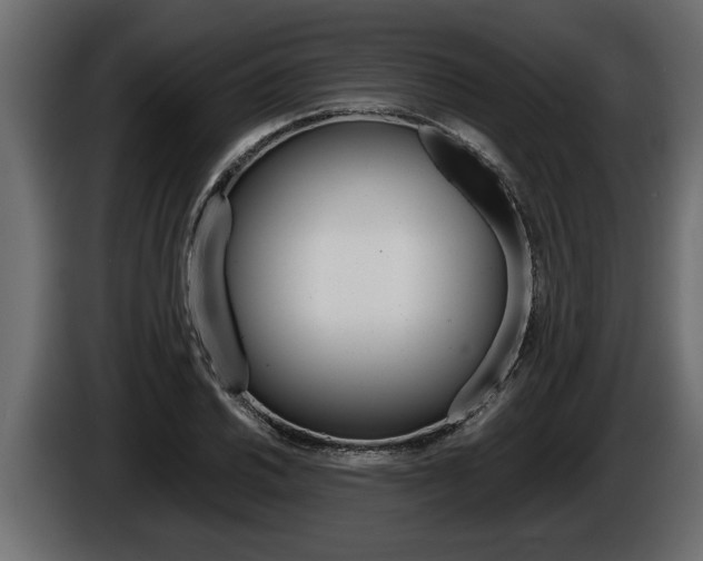 X0000086761030200704130810