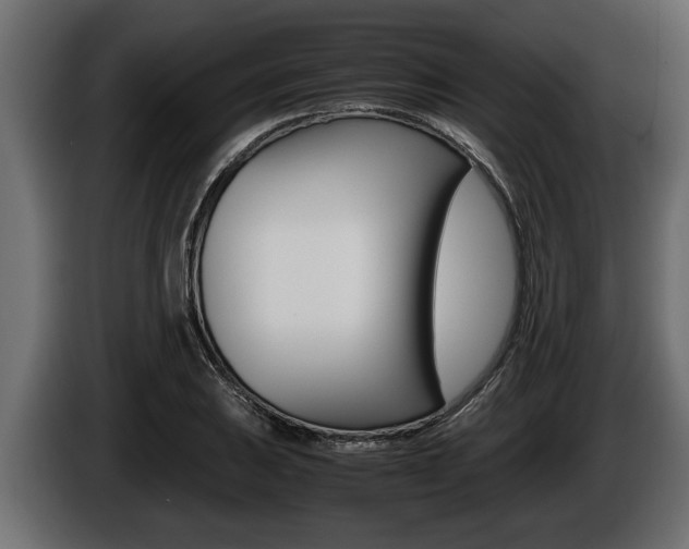 X0000086761031200704130810