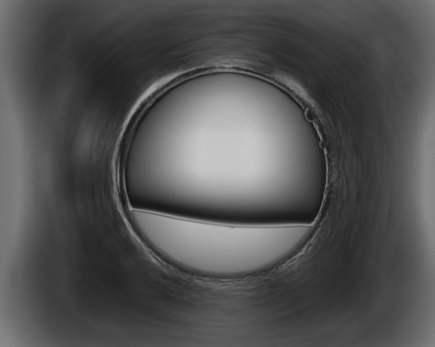 X0000086761032200704130810