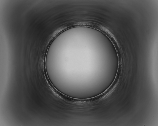 X0000086761033200704130810
