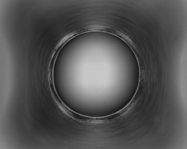 X0000086761034200704130810