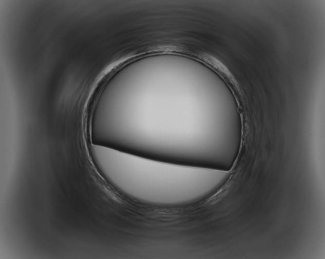 X0000086761035200704130810