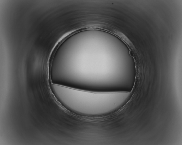 X0000086761036200704130810