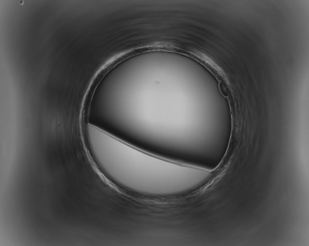 X0000086761037200704130810