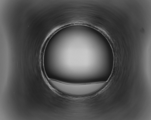 X0000086761038200704130810