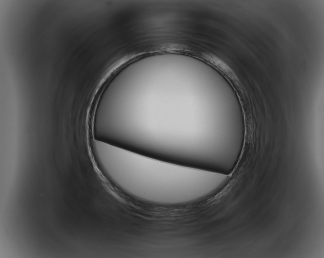 X0000086761039200704130810