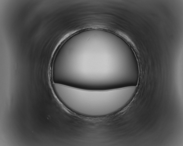X0000086761040200704130810