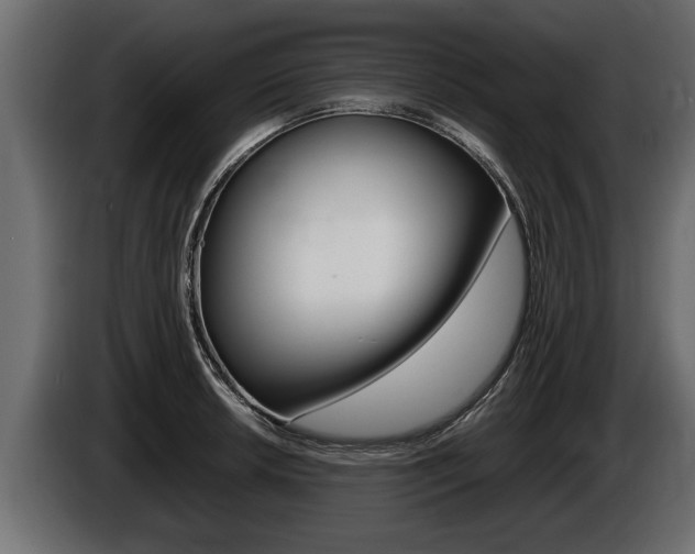 X0000086761042200704130810