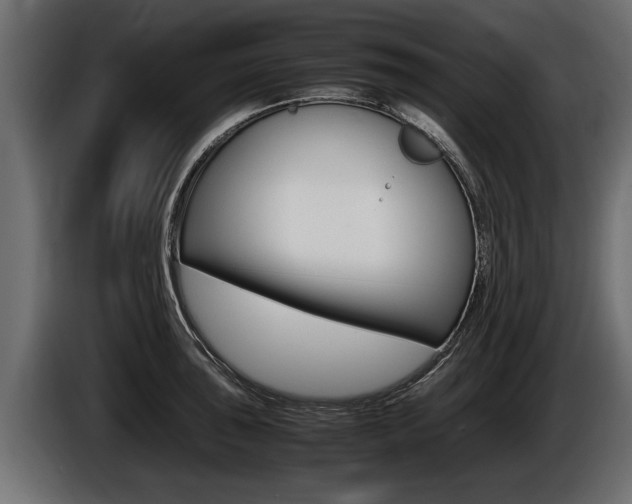 X0000086761043200704130810