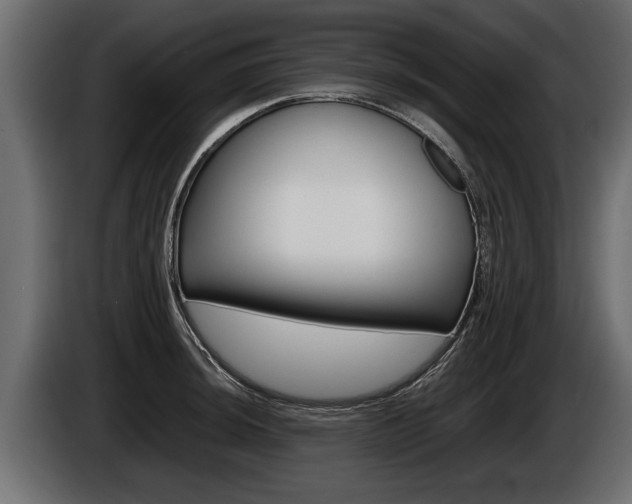 X0000086761044200704130810
