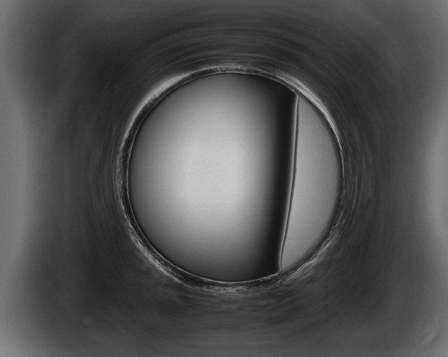 X0000086761045200704130810