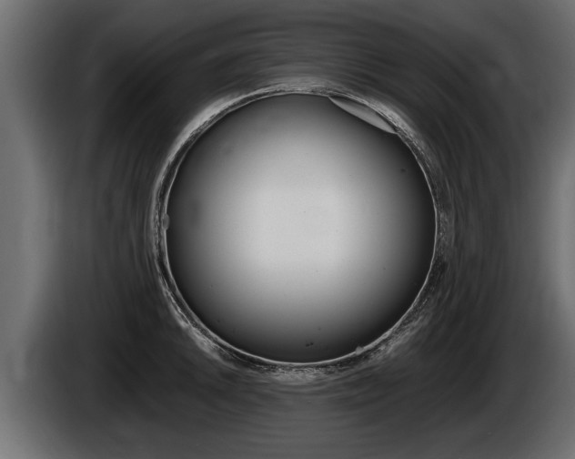 X0000086761046200704130810