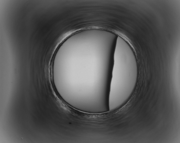 X0000086761047200704130810