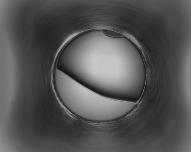 X0000086761048200704130810