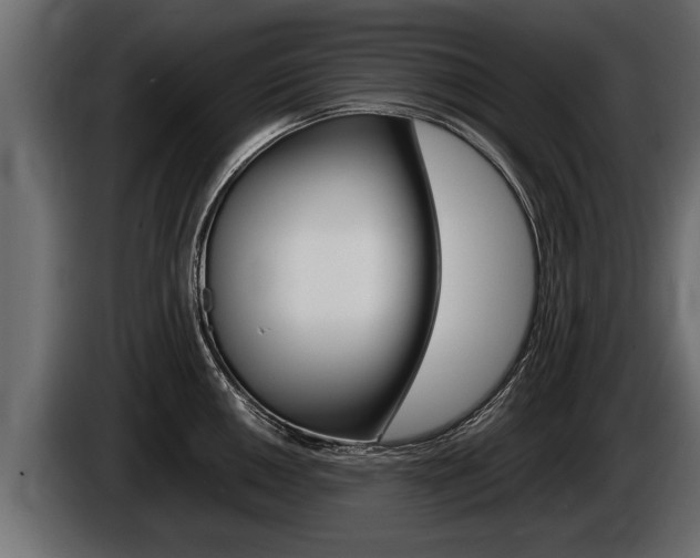 X0000086761050200704130810
