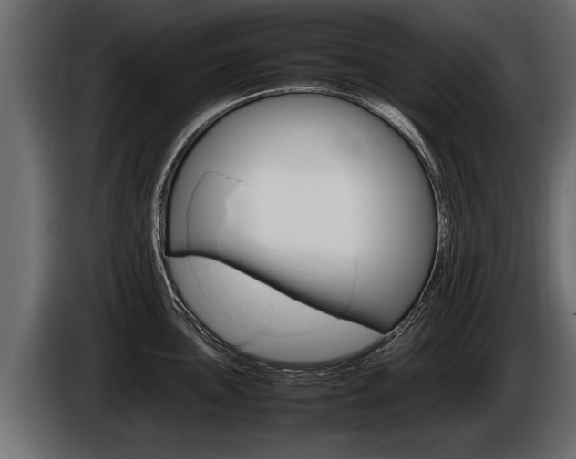 X0000086761051200704130810