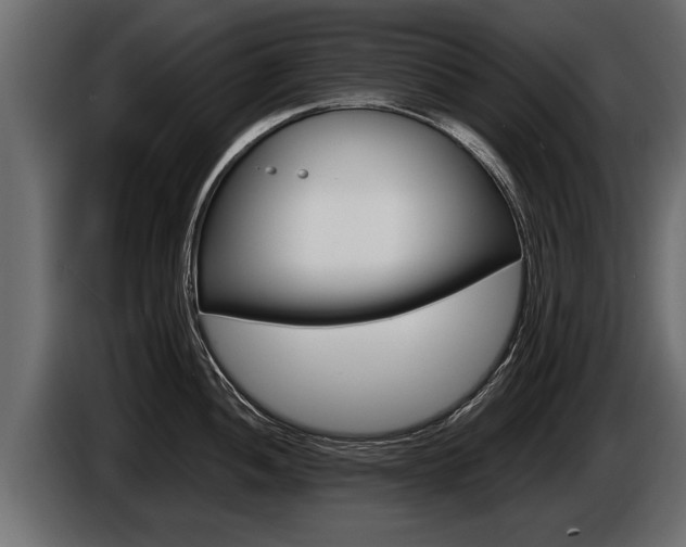 X0000086761052200704130810