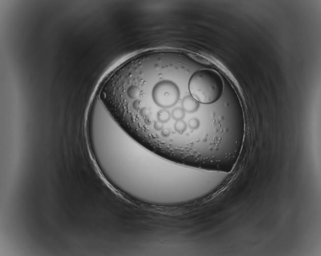 X0000086761053200704130810