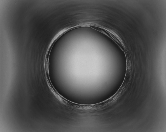 X0000086761054200704130810